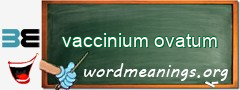 WordMeaning blackboard for vaccinium ovatum